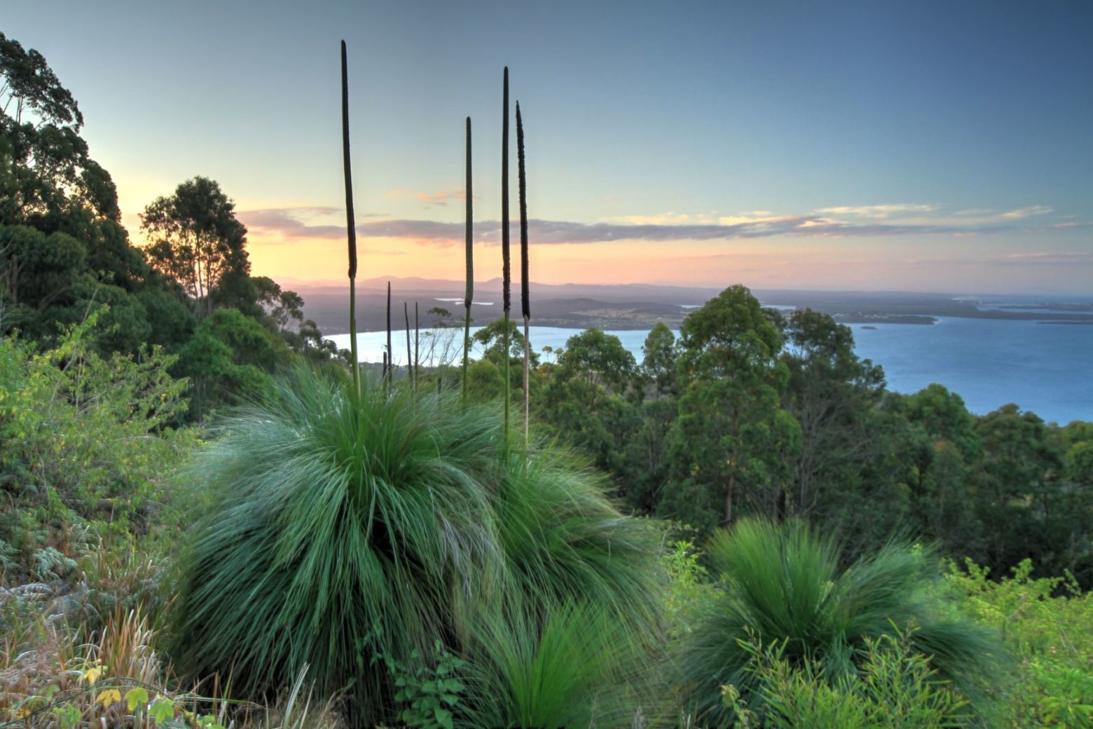 Whoota Whoota Lookout, Wallingat National Park